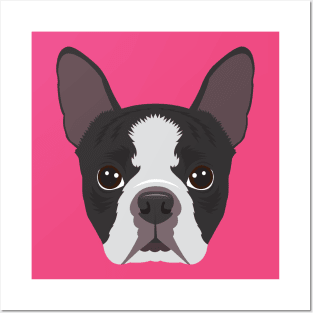 Boston Terrier Posters and Art